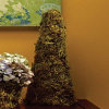Cone Moss Decoration