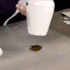 Festive Wine Charms Video