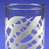 Zebra Print Etch Glass