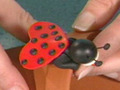 Ladybug Wings