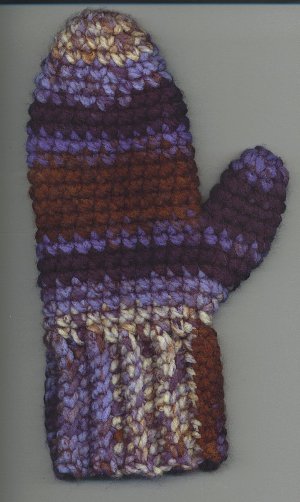 Cozy Crocheted Mittens