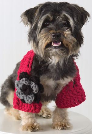 Crochet Dog Shrug