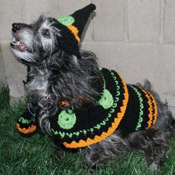Dog Witch Costume Crochet Pattern