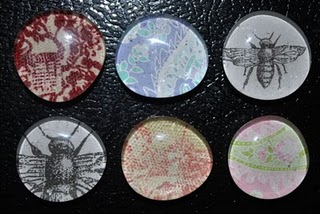 Glass Magnets
