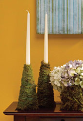 Moss Candleholders