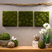 Mossy Wall Art