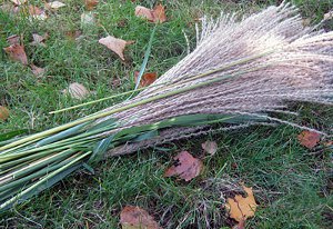 Striking Tiger Grass Wreath