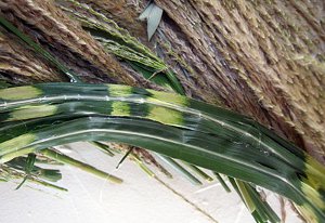 Striking Tiger Grass Wreath