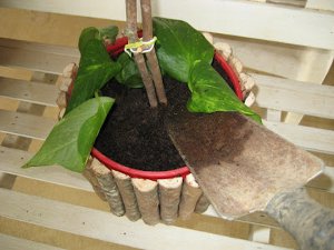 coffee planter