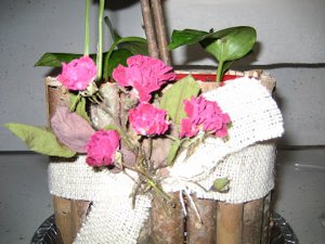 coffee planter