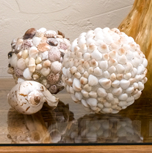 Craft Ideas Seashells on Decorative Seashell Spheres   Favecrafts Com