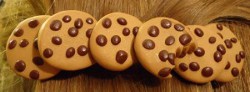 Polymer Clay Chocolate Chip Cookie Barrette