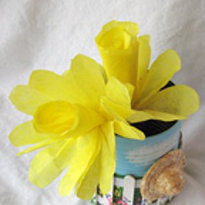 Easy Coffee Filter Daffodils