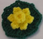 Small Daffodil Flower