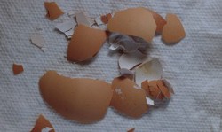 Vintage Inspired Eggshell Mosaic Bracelets