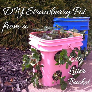 Easy-Peezy Strawberry Pot