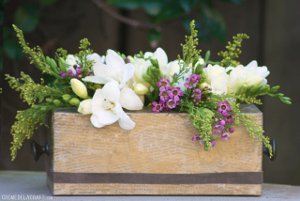 Recycled Flower Box