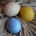 Natural Easter Eggs