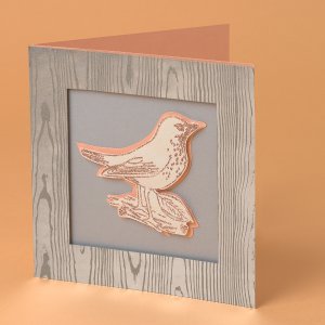 Rustic Bird Cards
