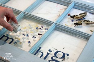 Big Dreams Butterfly Window