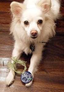 Paw Print Ornament