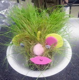 How to Create Your Very Own Chia Pet!