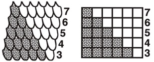 Amulet Bag Diagram