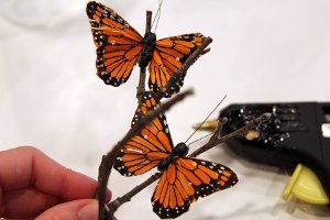 Create a Butterfly Haven