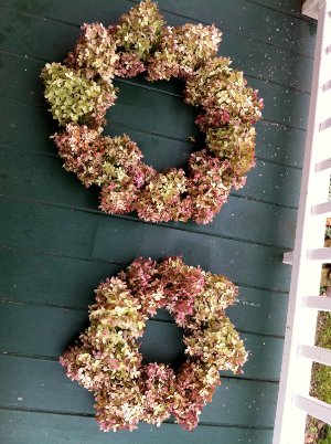 Dried Hydrangea Wreath