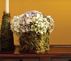 Moss and Hydrangea Cubes