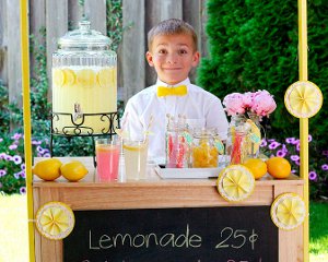 Summer Lemonade Stand