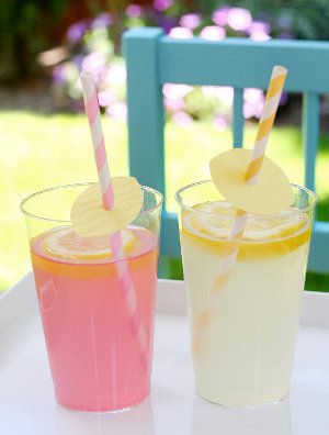 Summer Lemonade Stand