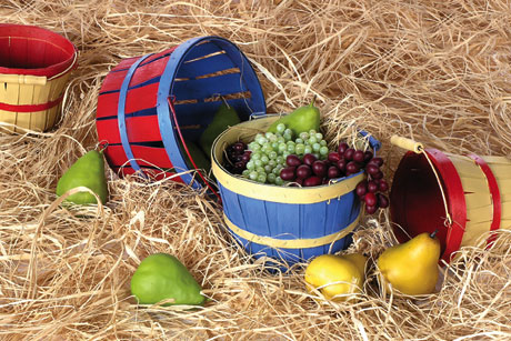 Hand painted Fruit Baskets