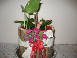 Coffee Jug Planter