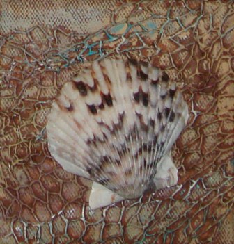 Embossed Sea Shell