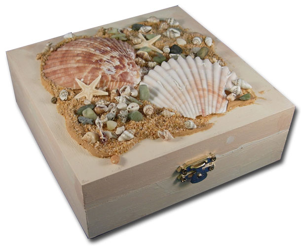 Seashells on Box