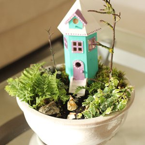 DIY Indoor Fairy Garden