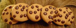 Polymer Clay Chocolate Chip Cookie Barrette