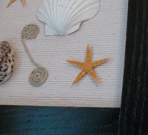 Funky Framed Seashells