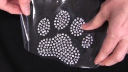 Dog Paw Print Iron On