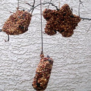 Hanging Bird Treats