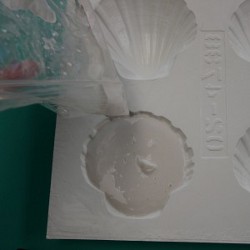 Seashell Beach Plaque