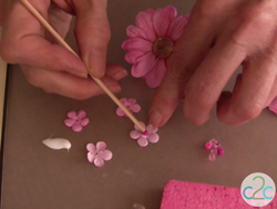 Stamped Cards and Floral Push Pins