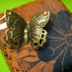 Butterfly and Bloom Box