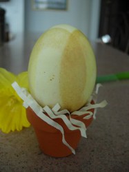 Eco-Friendly Easter Egg Dye