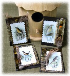 Golden Songbirds Artist Trading Cards