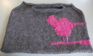 Felted Sparrow Handbag Before Felting