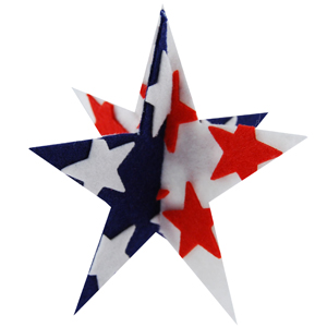 3D Felt Star