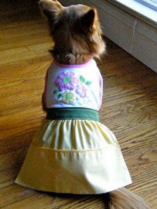 Fun Doggy Bib Dress