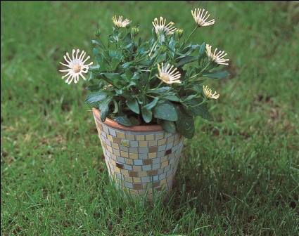 Simple Mosaic Pot